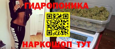 ГАЛЛЮЦИНОГЕННЫЕ ГРИБЫ Апшеронск