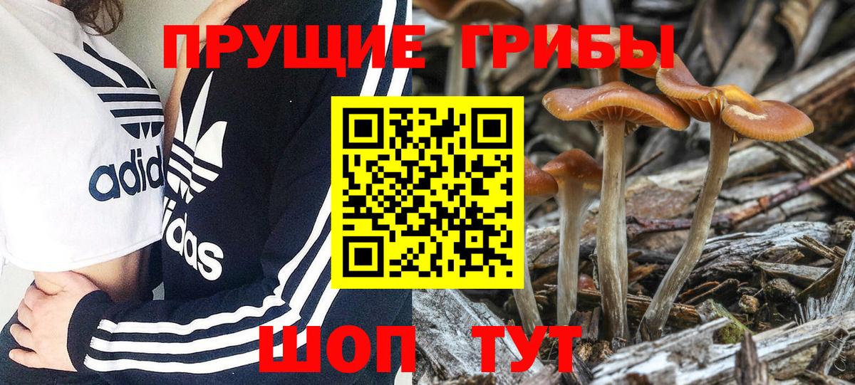 Галлюциногенные грибы ЛСД  Псилоцибиновые грибы Psilocybe  Бузулук  Вход с VPN 